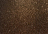 DarkBrownRearCarpet