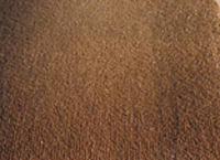 LightBrownRearCarpet