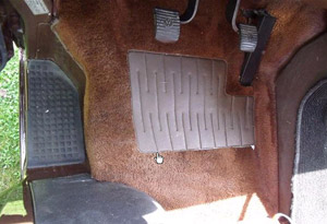 tanfrontcarpet